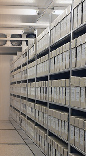 Archival Storage Rooms for Unique Environmental Conditions